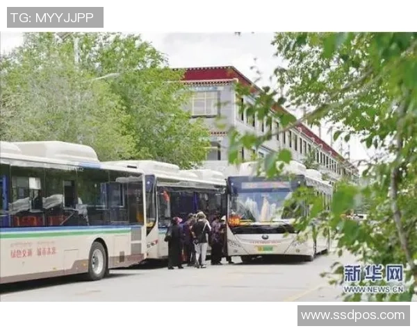 木浦市与大田地铁的对比分析及其对城市发展的影响探讨